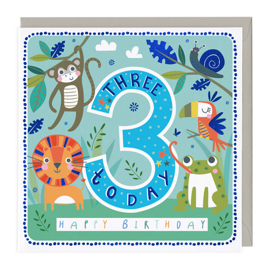 BOYS 3RD BIRTHDAY CARD